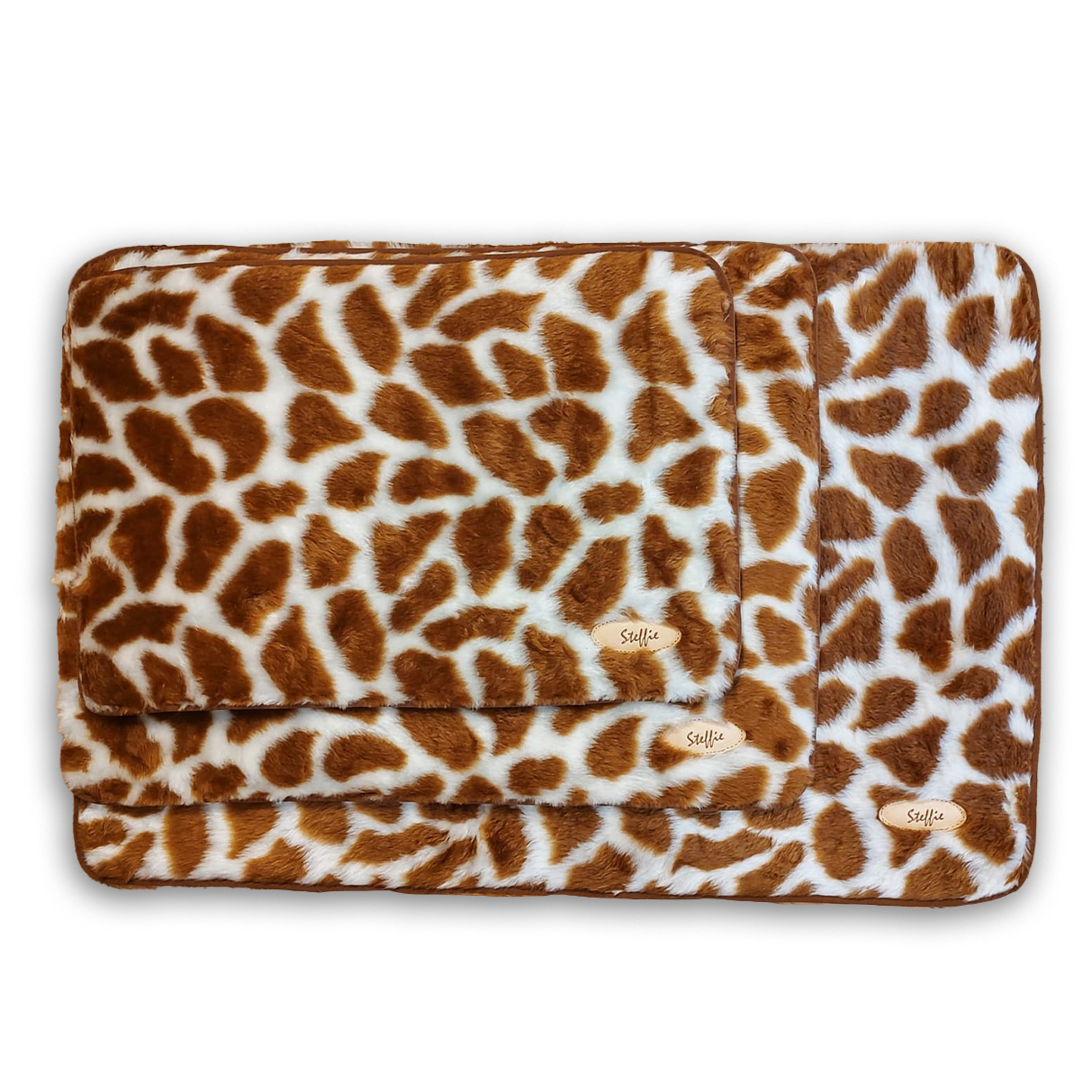 Igloo pisicute si catei mici leopard