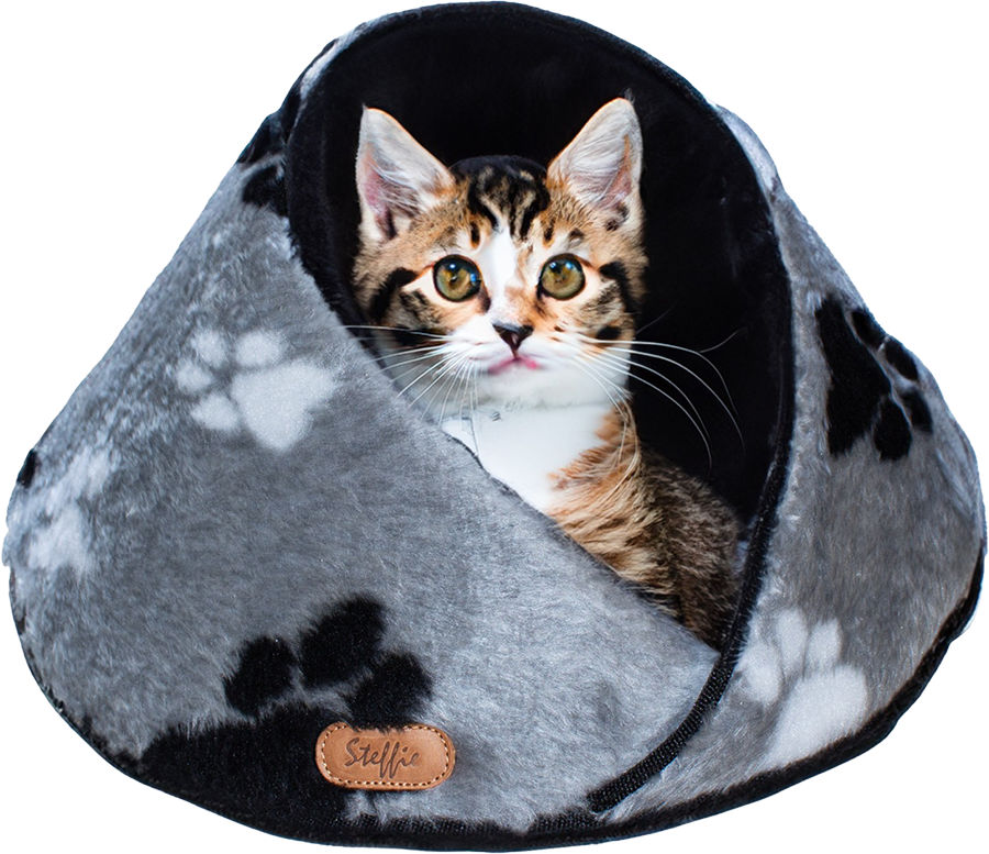 Igloo pisicute si catei mici animalprint